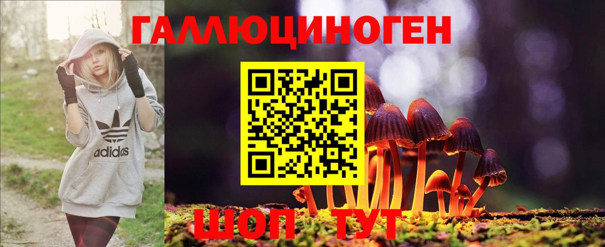 Родники  Галлюциногенные грибы MAGIC MUSHROOMS  Вход с VPN 